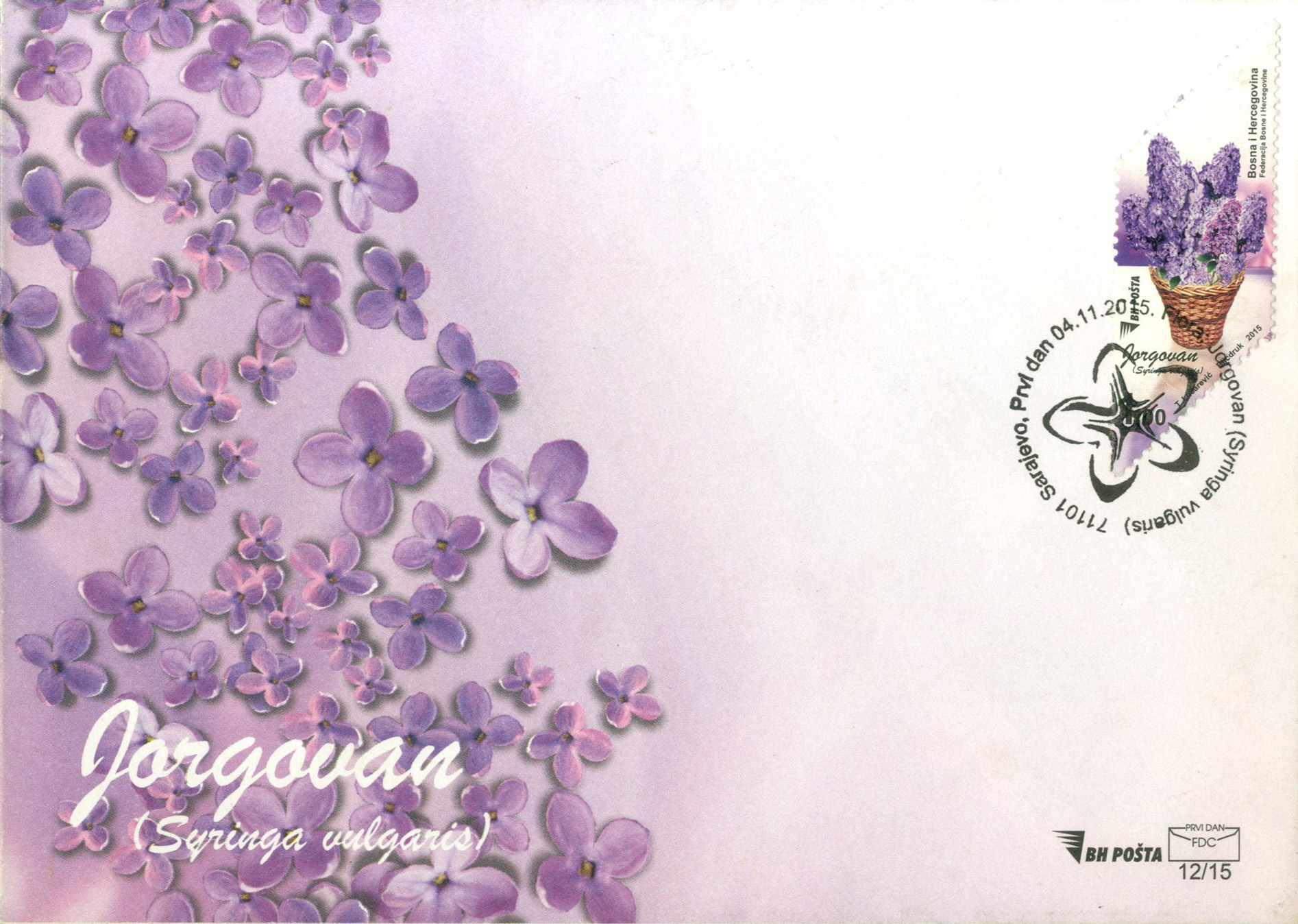 fdc-flora---plain-lilac-15